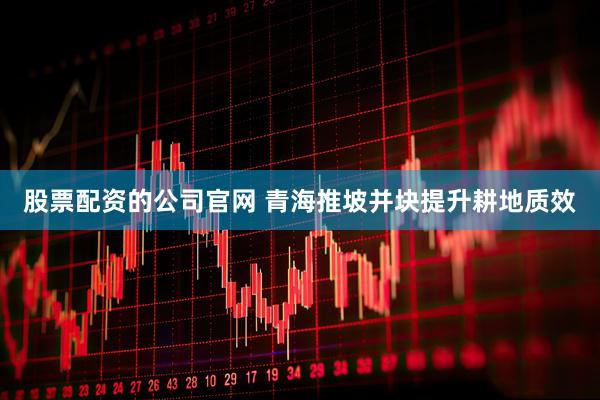 股票配资的公司官网 青海推坡并块提升耕地质效
