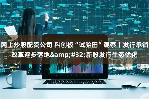 网上炒股配资公司 科创板“试验田”观察丨发行承销改革逐步落地&#32;新股发行生态优化